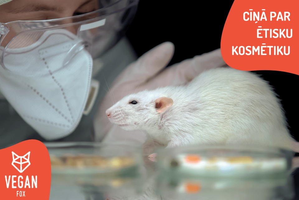 In the joint fight against the use of animals in cosmetic testing
