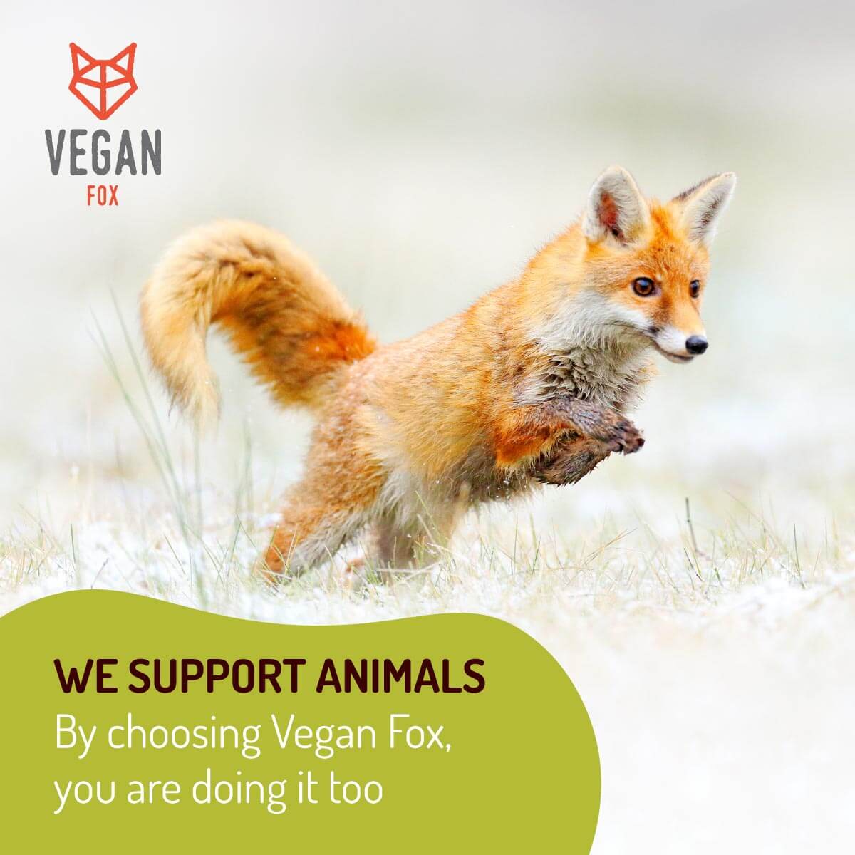 Vegan Fox supports animal welfare
