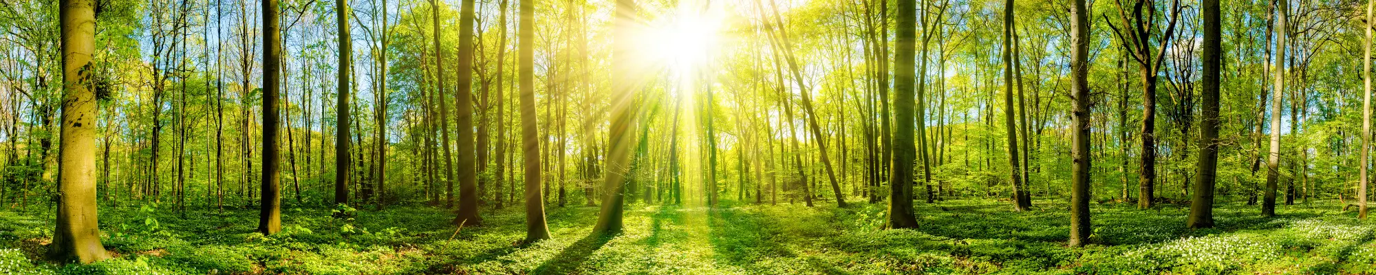 Vegan Fox dabīgi ādas kopšanas produkti, kas radīti Latvijā.